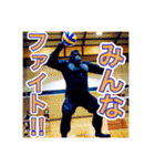 バレーボールが大好きな、ゴリラさん（個別スタンプ：23）