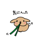 たれみみうさぎと飼い主の日常（個別スタンプ：7）