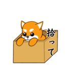 柴犬曰く遊ぼう！（個別スタンプ：18）