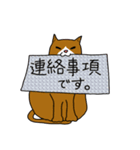 猫スタンプ  千穂（個別スタンプ：4）