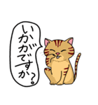 猫スタンプ  千穂（個別スタンプ：10）