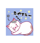 日常に猫を！マンチにゃんのほのか（個別スタンプ：5）