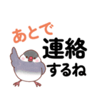 デカ文字★もち文鳥の家族連絡用スタンプ（個別スタンプ：11）