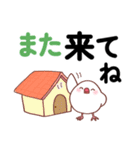 デカ文字★もち文鳥の家族連絡用スタンプ（個別スタンプ：34）