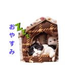 沙羅のニャンコな日々（個別スタンプ：8）