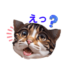 沙羅のニャンコな日々（個別スタンプ：9）