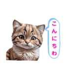 沙羅のニャンコな日々（個別スタンプ：20）