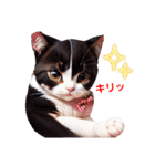 沙羅のニャンコな日々（個別スタンプ：30）
