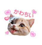 沙羅のニャンコな日々（個別スタンプ：37）