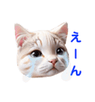沙羅のニャンコな日々（個別スタンプ：39）