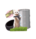 沙羅のニャンコな日々（個別スタンプ：40）