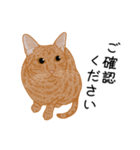 ひねもす茶とらねこ7（個別スタンプ：23）