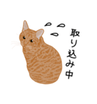 ひねもす茶とらねこ7（個別スタンプ：26）