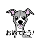 1年中使えるイタグレ達のスタンプ（個別スタンプ：19）