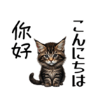 【日本語 / 中国語 】アニマルバイリンガル（個別スタンプ：2）