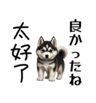 【日本語 / 中国語 】アニマルバイリンガル（個別スタンプ：9）