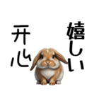 【日本語 / 中国語 】アニマルバイリンガル（個別スタンプ：11）