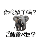 【日本語 / 中国語 】アニマルバイリンガル（個別スタンプ：13）