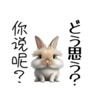 【日本語 / 中国語 】アニマルバイリンガル（個別スタンプ：15）