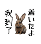 【日本語 / 中国語 】アニマルバイリンガル（個別スタンプ：16）