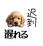 【日本語 / 中国語 】アニマルバイリンガル（個別スタンプ：22）