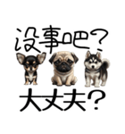【日本語 / 中国語 】アニマルバイリンガル（個別スタンプ：24）