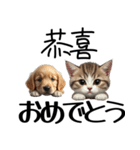 【日本語 / 中国語 】アニマルバイリンガル（個別スタンプ：25）