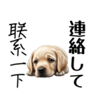 【日本語 / 中国語 】アニマルバイリンガル（個別スタンプ：26）