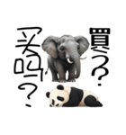 【日本語 / 中国語 】アニマルバイリンガル（個別スタンプ：29）