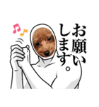 ㊚＆㊛❤クレオ君とマリーちゃん（個別スタンプ：10）