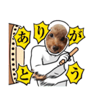 ㊚＆㊛❤クレオ君とマリーちゃん（個別スタンプ：11）