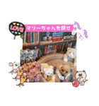 ㊚＆㊛❤クレオ君とマリーちゃん（個別スタンプ：17）