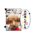 ㊚＆㊛❤クレオ君とマリーちゃん（個別スタンプ：18）
