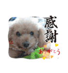㊚＆㊛❤クレオ君とマリーちゃん（個別スタンプ：19）