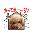 ㊚＆㊛❤クレオ君とマリーちゃん（個別スタンプ：20）