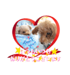 ㊚＆㊛❤クレオ君とマリーちゃん（個別スタンプ：21）