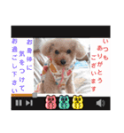 ㊚＆㊛❤クレオ君とマリーちゃん（個別スタンプ：22）