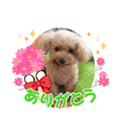 ㊚＆㊛❤クレオ君とマリーちゃん（個別スタンプ：27）