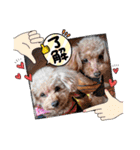 ㊚＆㊛❤クレオ君とマリーちゃん（個別スタンプ：29）