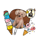 ㊚＆㊛❤クレオ君とマリーちゃん（個別スタンプ：30）