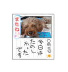 ㊚＆㊛❤クレオ君とマリーちゃん（個別スタンプ：31）