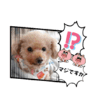 ㊚＆㊛❤クレオ君とマリーちゃん（個別スタンプ：33）
