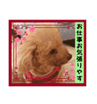 ㊚＆㊛❤クレオ君とマリーちゃん（個別スタンプ：36）