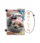 ㊚＆㊛❤クレオ君とマリーちゃん（個別スタンプ：38）