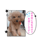 ㊚＆㊛❤クレオ君とマリーちゃん（個別スタンプ：40）