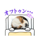 さんONE（個別スタンプ：8）