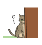 ウチのねこ No.1（個別スタンプ：9）