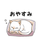 ウチのねこ No.1（個別スタンプ：11）