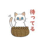 ウチのねこ No.1（個別スタンプ：15）