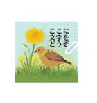 大人が使える鳥と花のスタンプ（個別スタンプ：13）